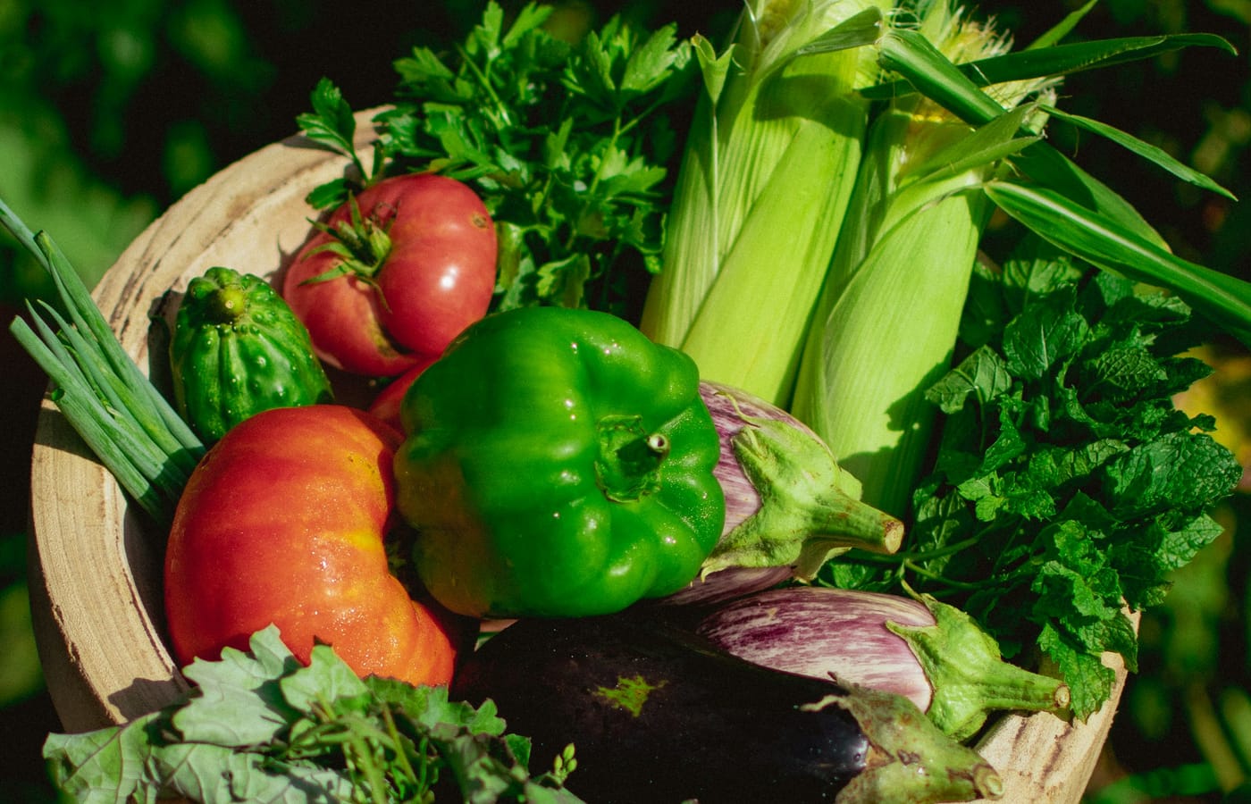 Basket of fresh vegetables in a green garden